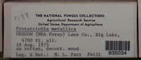 Image Associated With the Occurence